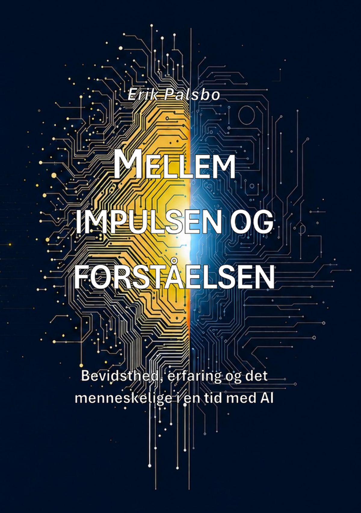 Bogforside til Mellem impulsen og forståelsen
